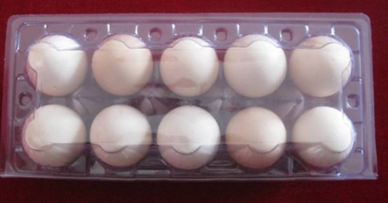 湖(hu)南省遵(zūn)义汇中(zhong)船舶制(zhi)造有限(xiàn)责任公(gōng)司,專業(ye)生産銷(xiāo)售吸塑(sù)制品